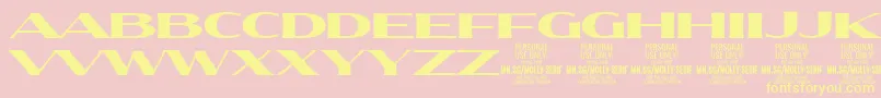 MollySerifXE Bl PERSONAL Font – Yellow Fonts on Pink Background