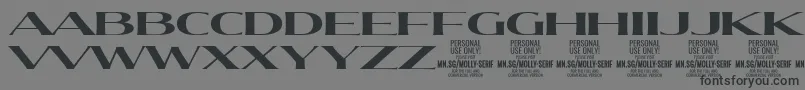 Fonte MollySerifXE Bo PERSONAL – fontes pretas em um fundo cinza