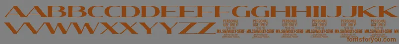 MollySerifXE Bo PERSONAL-fontti – ruskeat fontit harmaalla taustalla