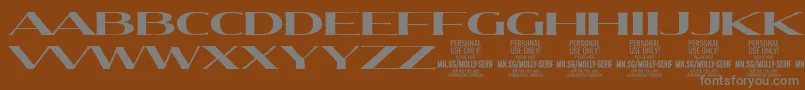 MollySerifXE Bo PERSONAL Font – Gray Fonts on Brown Background