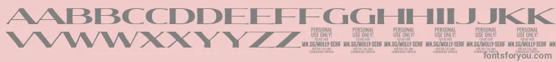 MollySerifXE Bo PERSONAL-Schriftart – Graue Schriften auf rosa Hintergrund