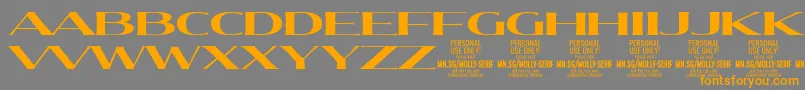 En savoir plus sur la police MollySerifXE Bo PERSONAL Police MollySerifXE Bo PERSONAL – polices orange sur fond gris