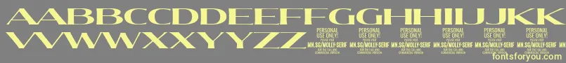 Weitere Informationen zur MollySerifXE Bo PERSONAL-Schriftart MollySerifXE Bo PERSONAL-Schriftart – Gelbe Schriften auf grauem Hintergrund