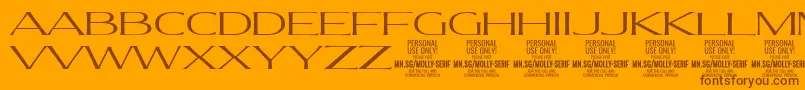 MollySerifXE Li PERSONAL Font – Brown Fonts on Orange Background