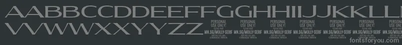 MollySerifXE Me PERSONAL Font – Gray Fonts on Black Background