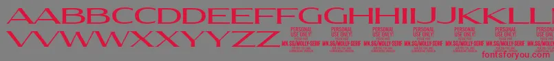 フォントMollySerifXE Me PERSONAL – 赤い文字の灰色の背景