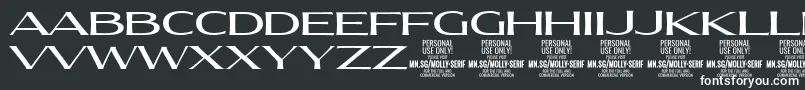 MollySerifXE Me PERSONAL Font – White Fonts