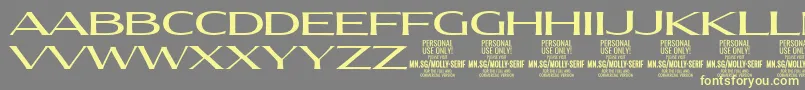 MollySerifXE Me PERSONAL Font – Yellow Fonts on Gray Background