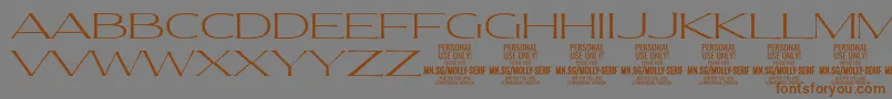 MollySerifXE Th PERSONAL Font – Brown Fonts on Gray Background