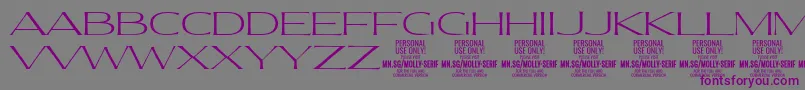 MollySerifXE Th PERSONAL Font – Purple Fonts on Gray Background