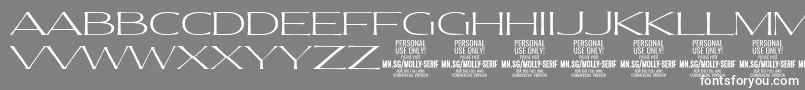 MollySerifXE Th PERSONAL Font – White Fonts on Gray Background