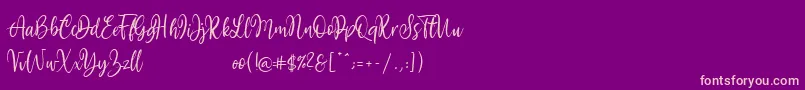 Mollywood Font – Pink Fonts on Purple Background