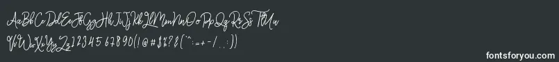 Шрифт Monalisa Monoline Script – белые шрифты на чёрном фоне
