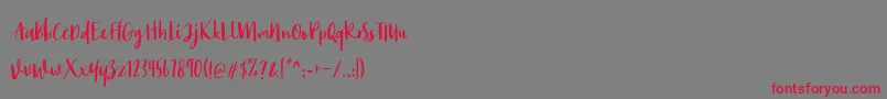 Monday Bay Font – Red Fonts on Gray Background