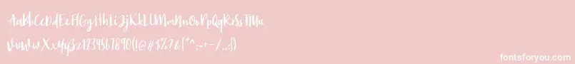 Monday Bay Font – White Fonts on Pink Background