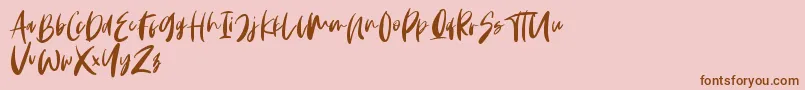 Monday Vibes Font – Brown Fonts on Pink Background