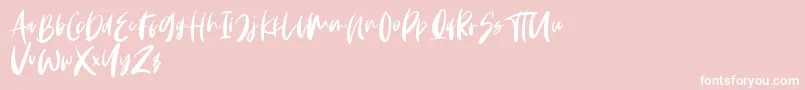 Monday Vibes Font – White Fonts on Pink Background