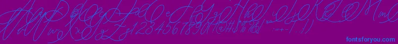mondayline-Schriftart – Blaue Schriften auf violettem Hintergrund