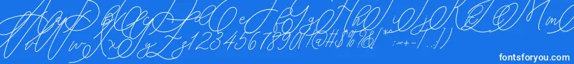 mondayline Font – White Fonts on Blue Background