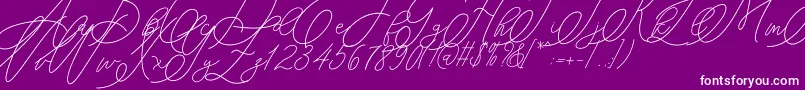 mondayline Font – White Fonts on Purple Background