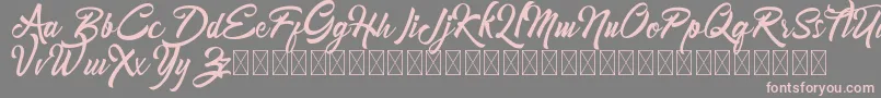 fuente Mondena – Fuentes Rosadas Sobre Fondo Gris