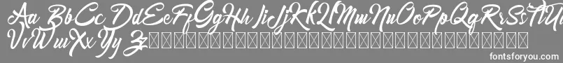 Mondena Font – White Fonts on Gray Background