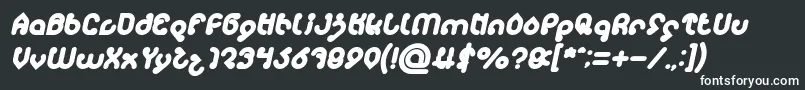 フォントmonica Bold Italic – 白い文字