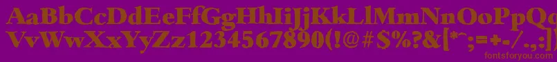 BambergantiqueHeavyRegular Font – Brown Fonts on Purple Background