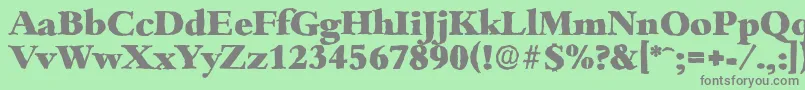 フォントBambergantiqueHeavyRegular – 緑の背景に灰色の文字