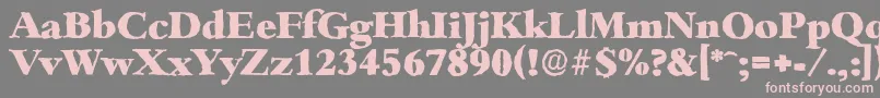 BambergantiqueHeavyRegular Font – Pink Fonts on Gray Background