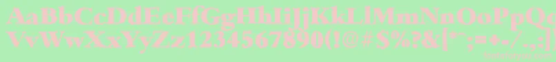 BambergantiqueHeavyRegular Font – Pink Fonts on Green Background