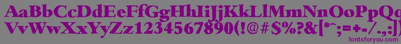 BambergantiqueHeavyRegular Font – Purple Fonts on Gray Background