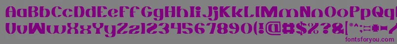 MONOCHROME Light Font – Purple Fonts on Gray Background