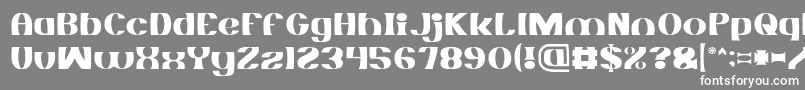 MONOCHROME Light Font – White Fonts on Gray Background