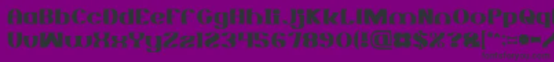 MONOCHROME-Schriftart – Schwarze Schriften auf violettem Hintergrund