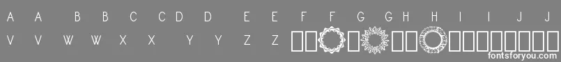 Monogram Framer Demo-Schriftart – Weiße Schriften auf grauem Hintergrund