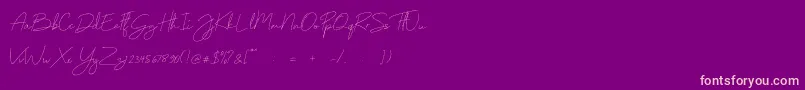 fuente Monoline – Fuentes Rosadas Sobre Fondo Morado