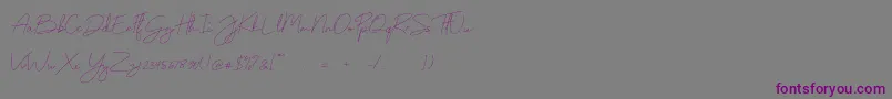 Monoline-Schriftart – Violette Schriften auf grauem Hintergrund
