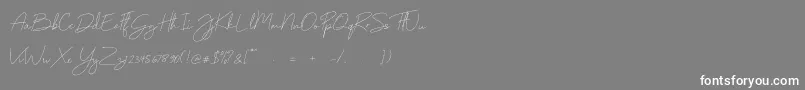 Monoline Font – White Fonts on Gray Background