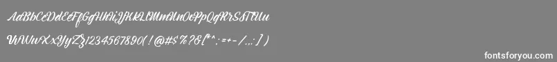 Montagne Script Free Demo Font – White Fonts on Gray Background