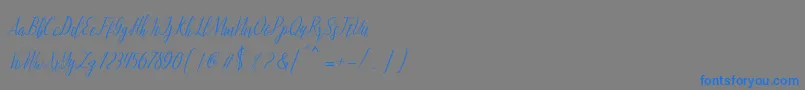 montalia script Font – Blue Fonts on Gray Background