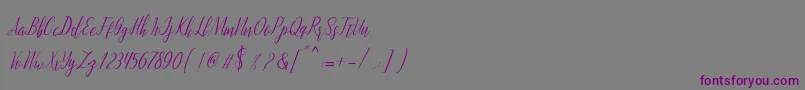 Police montalia script – polices violettes sur fond gris