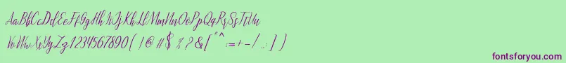 montalia script Font – Purple Fonts on Green Background
