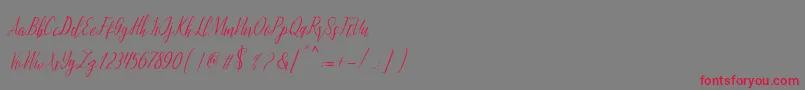 montalia script Font – Red Fonts on Gray Background