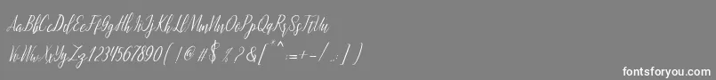 Fonte montalia script – fontes brancas em um fundo cinza