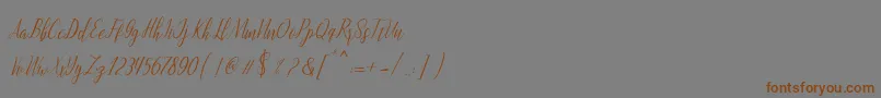 Шрифт montalia script – коричневые шрифты на сером фоне