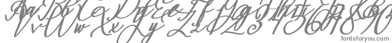 Montapallier BOLD ITALIC-Schriftart – Graue Schriften auf weißem Hintergrund