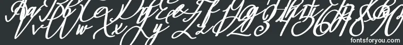 Шрифт Montapallier BOLD ITALIC – белые шрифты
