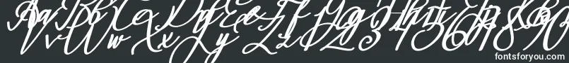 Montapallier BOLD ITALIC-fontti – valkoiset fontit