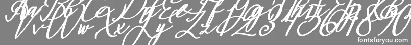 Montapallier BOLD ITALIC Font – White Fonts on Gray Background